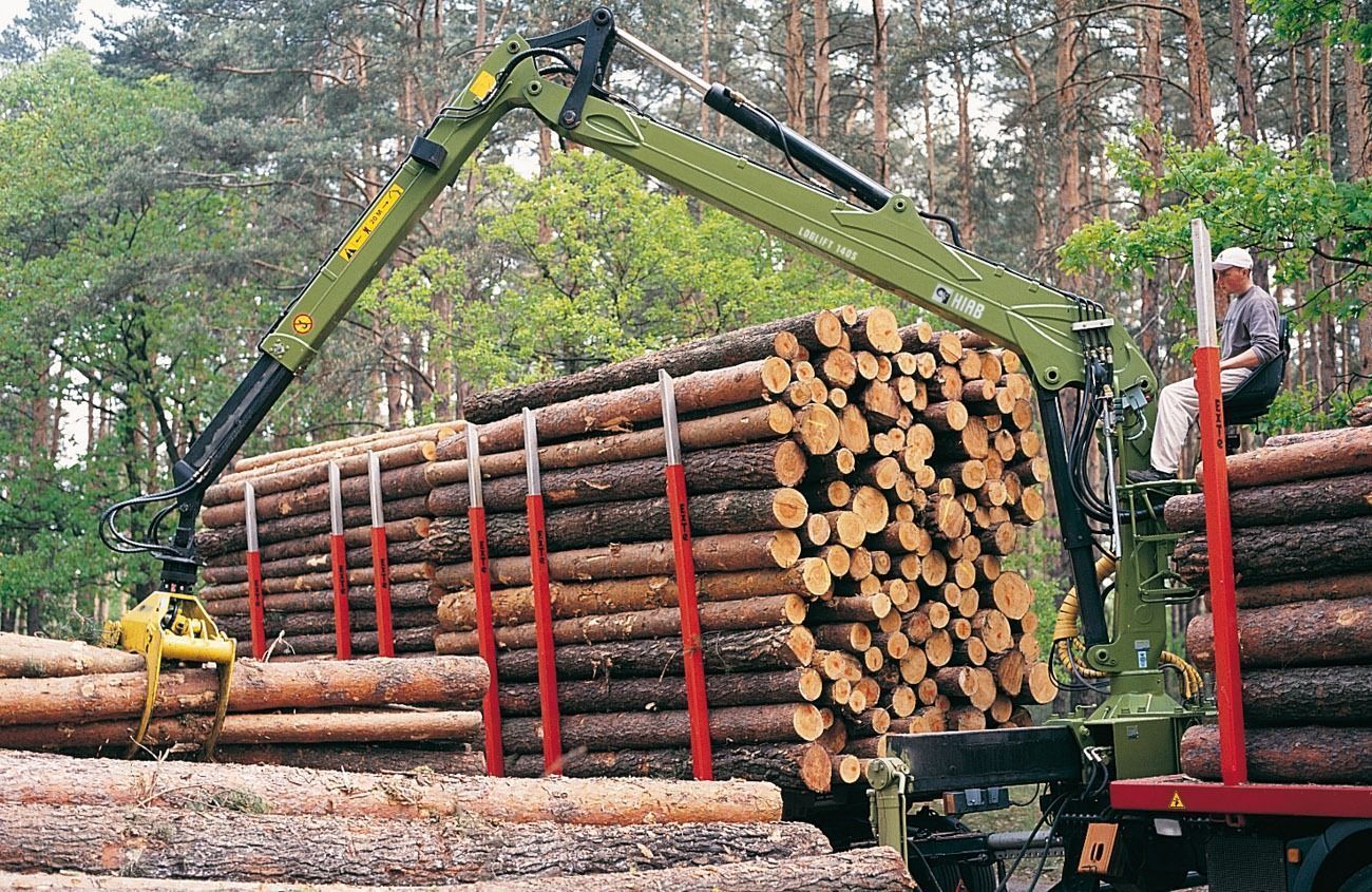 GRÚAS LOGLIFT 140S: La Solución Ideal para Carga de Troncos Pesados y Ligeros