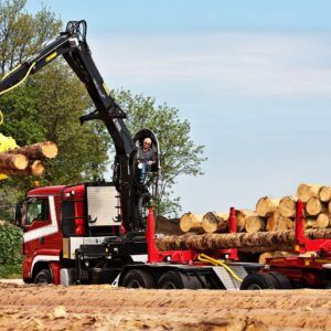 GRÚAS LOGLIFT 251S: Máxima Potencia para Troncos Largos