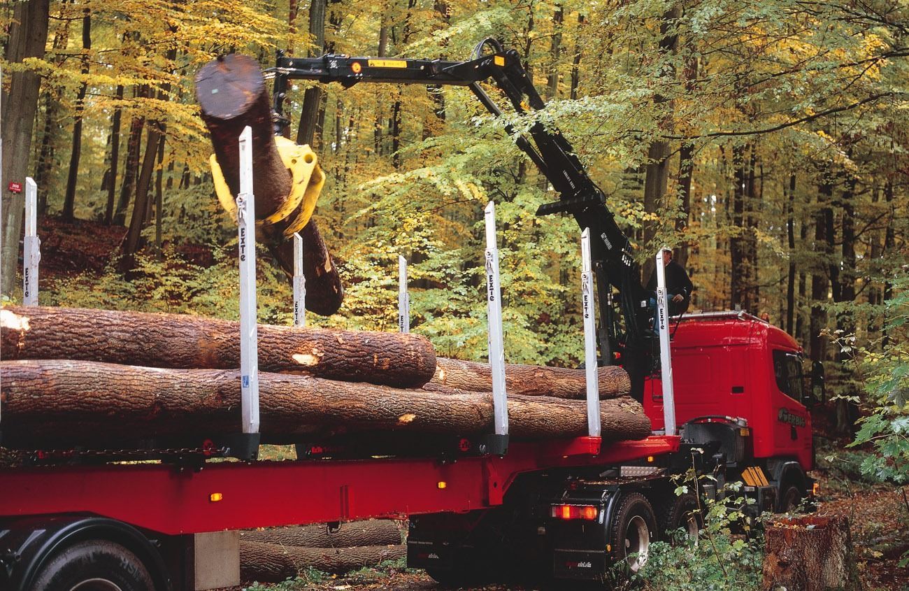 GRÚAS LOGLIFT 265Z: Potencia y Eficiencia en el Sector Forestal