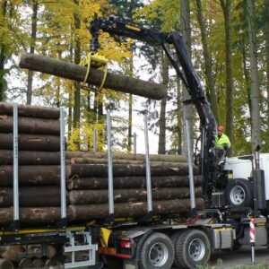 GRÚAS LOGLIFT 165Z: Versatilidad y Potencia en el Trabajo Forestal