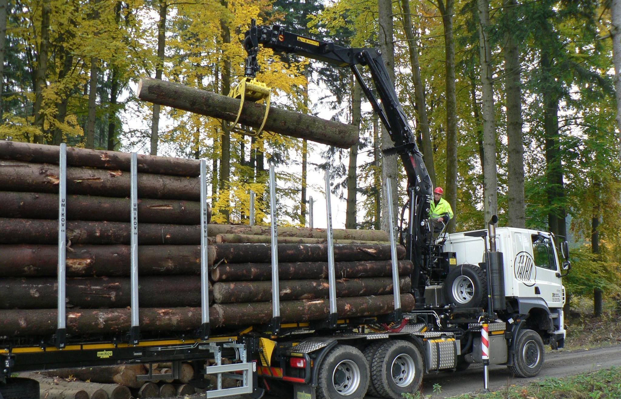 GRÚAS LOGLIFT 165Z: Versatilidad y Potencia en el Trabajo Forestal