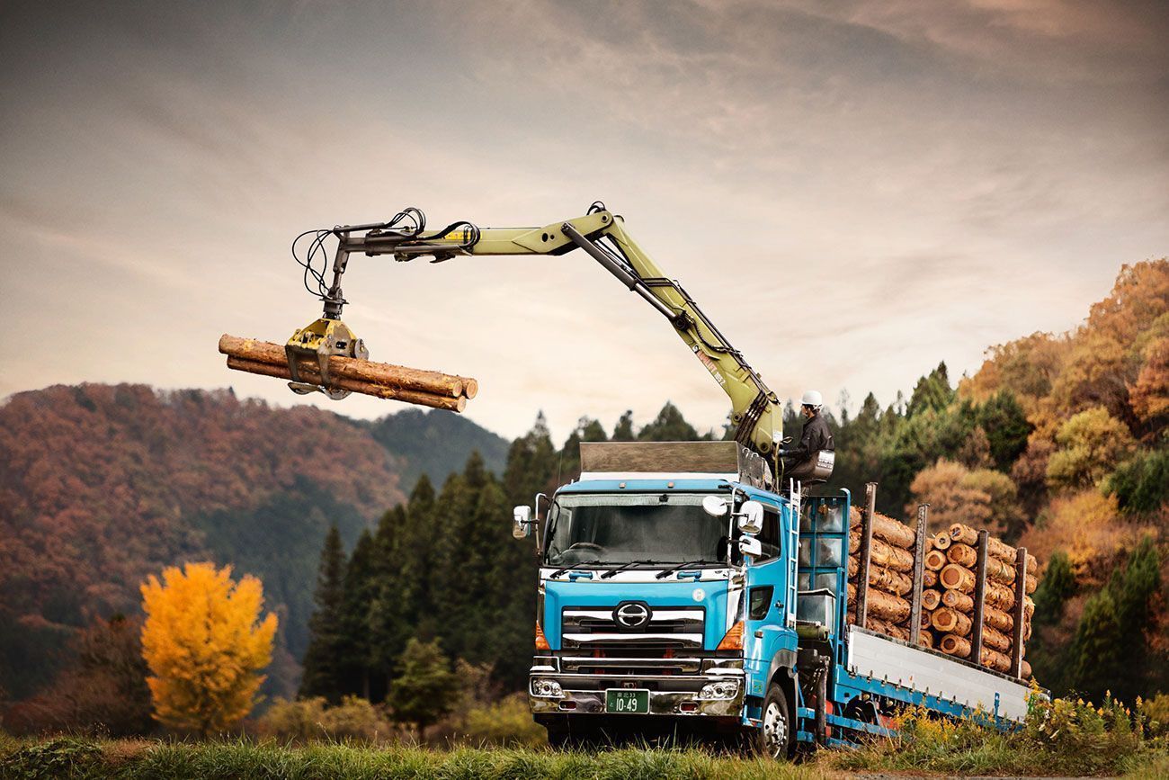 GRÚAS LOGLIFT 105Z: La Opción Ideal para Operaciones Forestales Eficientes
