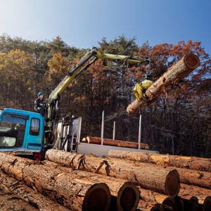 GRÚAS LOGLIFT 61Z | Grúa forestal plegable de 6 t para espacios reducidos