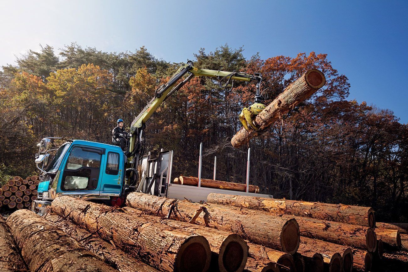 GRÚAS LOGLIFT 61Z | Grúa forestal plegable de 6 t para espacios reducidos