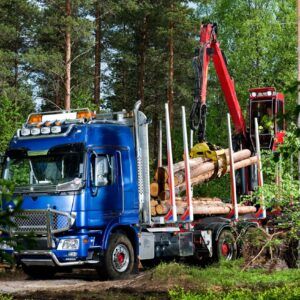 GRÚAS LOGLIFT 96S: Potencia y Eficiencia para la Carga de Troncos