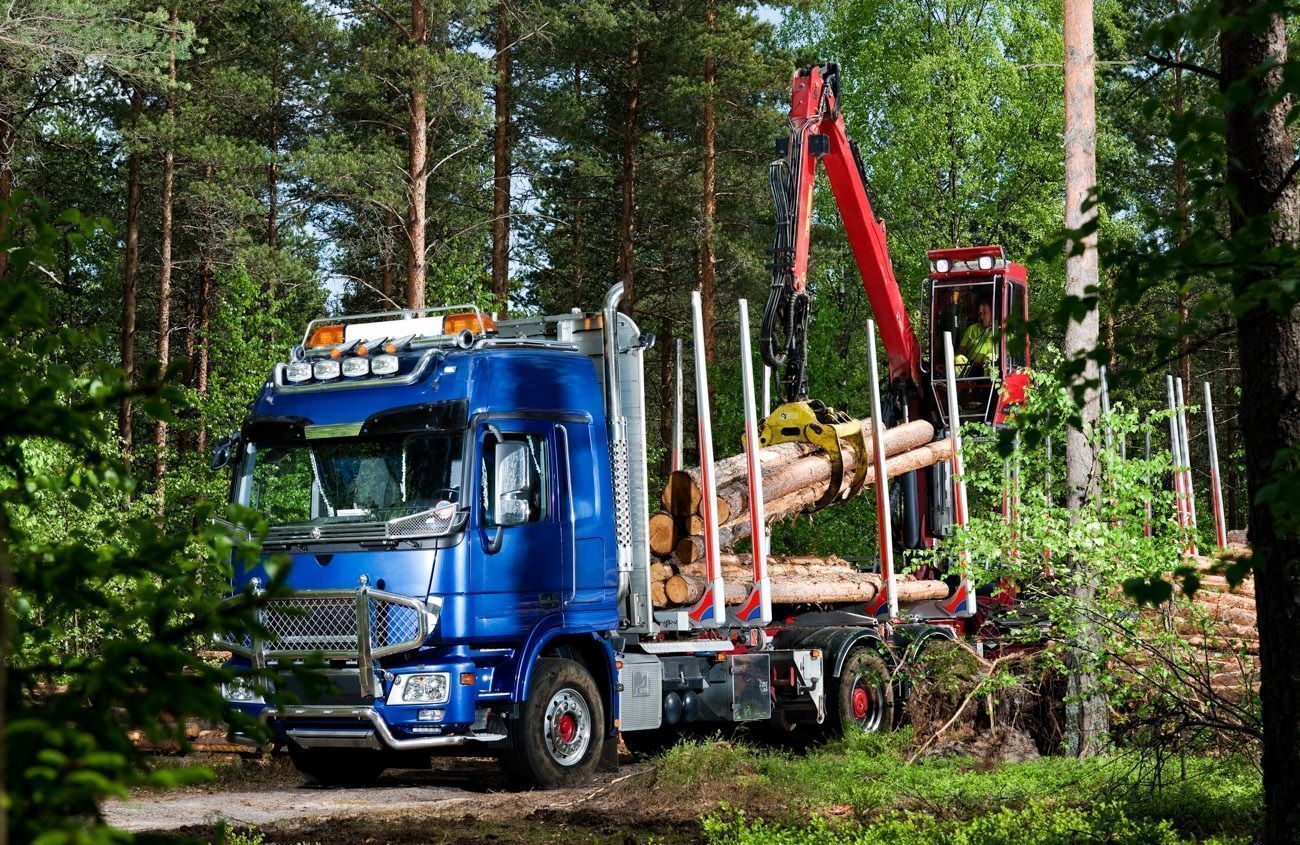 GRÚAS LOGLIFT 96S: Potencia y Eficiencia para la Carga de Troncos